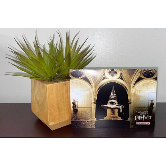 Universal Orlando Wizarding World of HARRY‎ POTTER Hogsmeade Stamped Postcard. - Picture 1 of 2